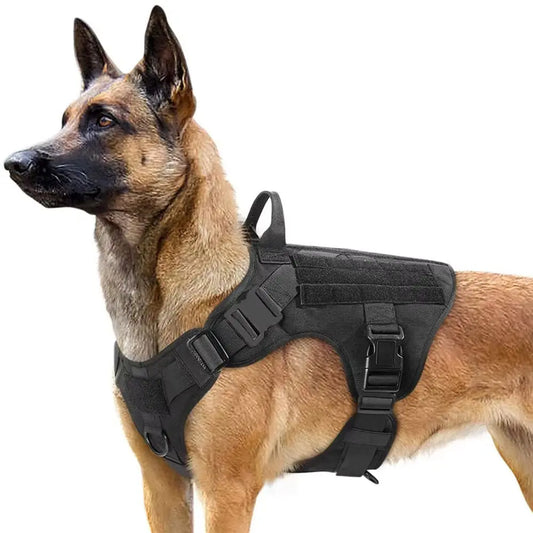 Durable Large Dog Harness & Leash Set | Perfect for German Shepherds and Malinois Training & Walking